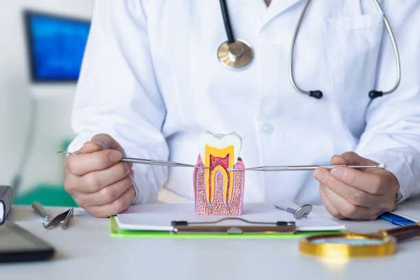 Best Broken or Chipped Tooth Repair in Highland Heights, OH